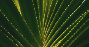 Untitled design (2)