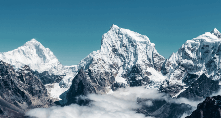 altezza press release