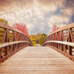 seo bridge to the future