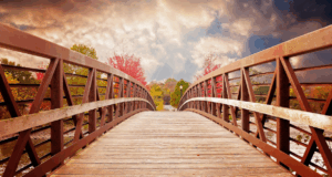 seo bridge to the future