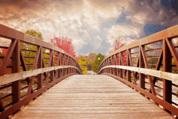 seo bridge to the future